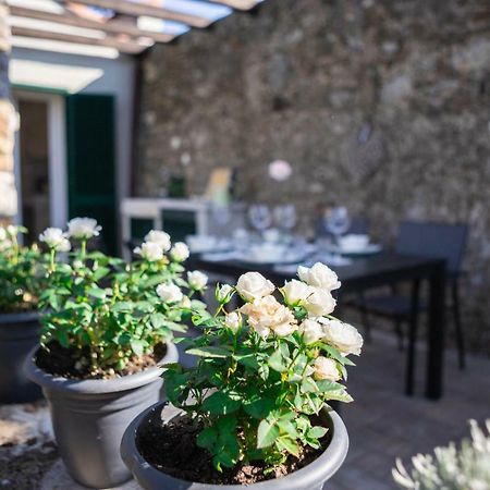 Gardenhouse Sarzana Daire Dış mekan fotoğraf